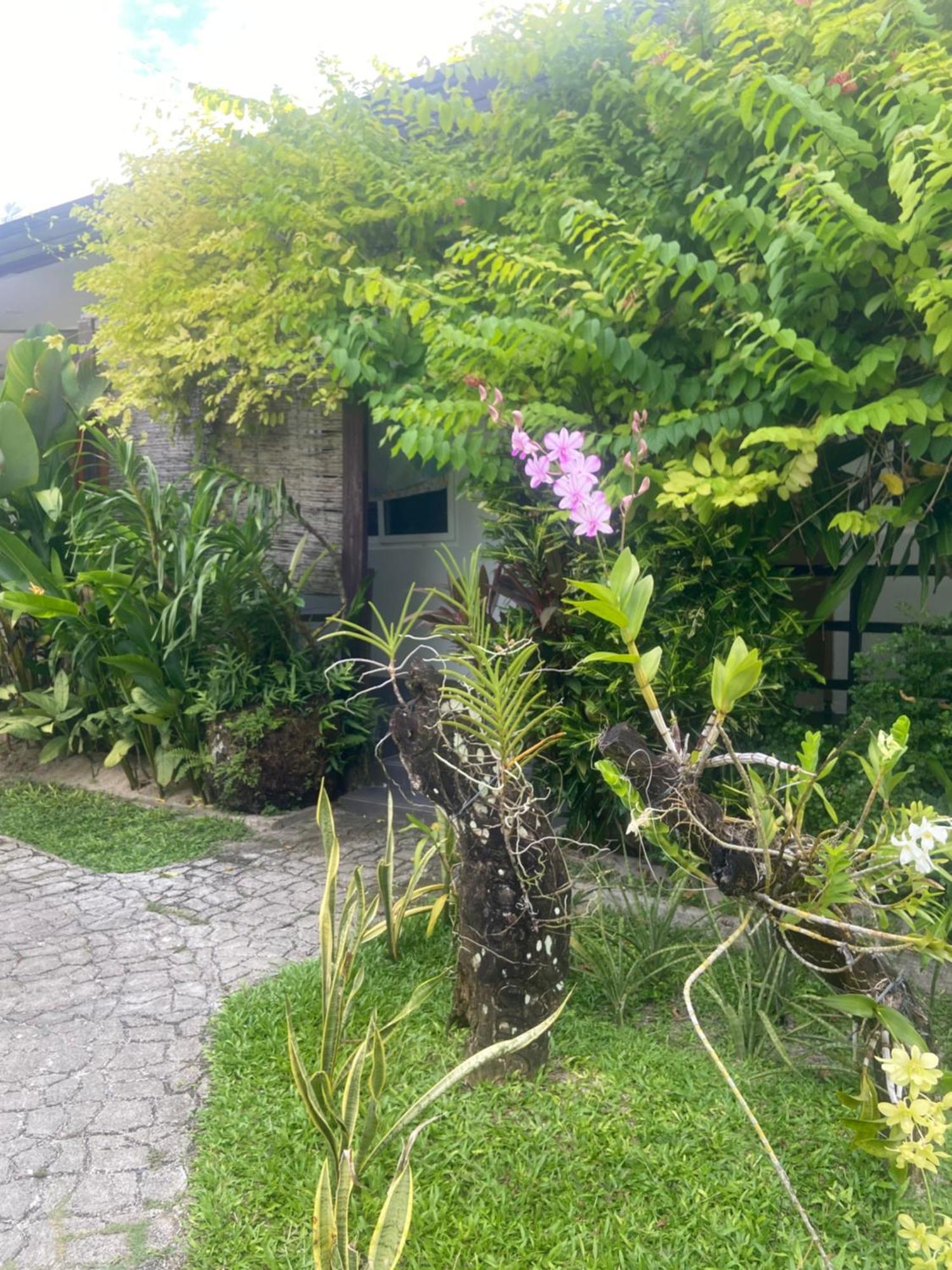 Vivo Siargao Hotell General Luna  Exteriör bild